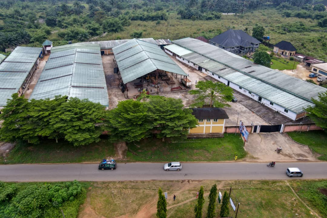 whatsapp image 2025 12 03 at 20.30.03